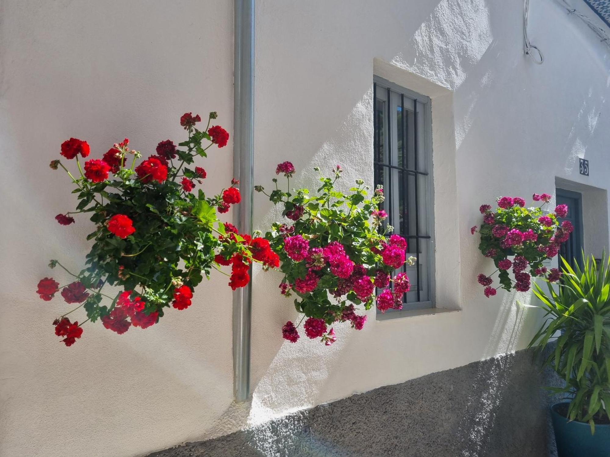 Villa Casita Cazorla Esterno foto